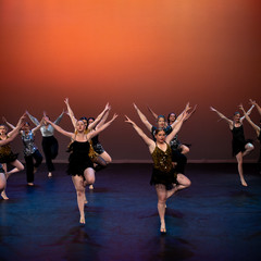Showcase-56.jpg